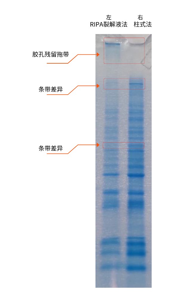 英文特生物技术(北京)有限公司 inventbiotech 欢迎您...